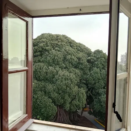 Rooftop Magione Lejlighed Palermo